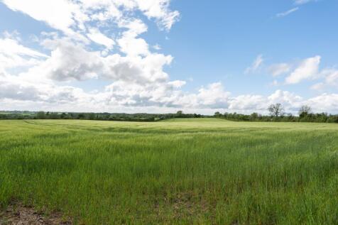 Surrounding Fields