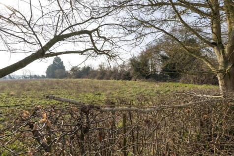 Field Views to Rear