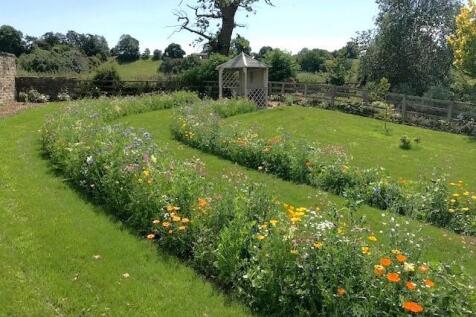 garden 1.jpg