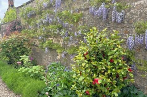 garden 2.jpg