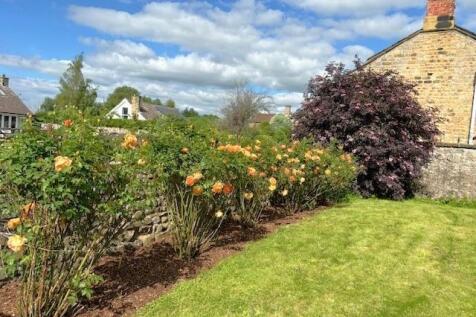Garden 5.jpg