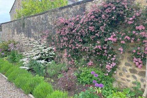 Garden 3.jpg