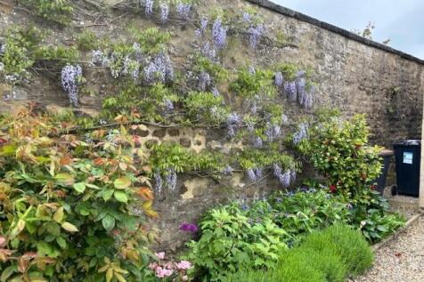 Garden 4.jpg