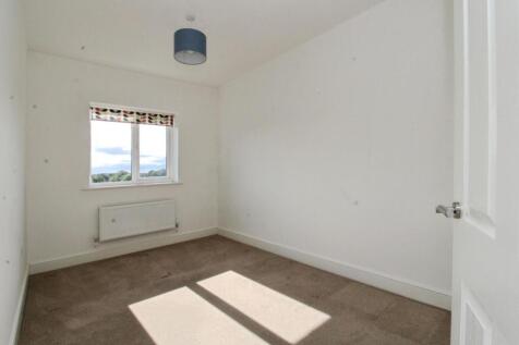 b447aa45-IMG_7197.JPG