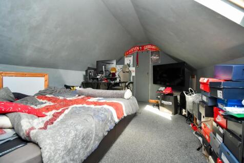 DSC_3085.JPG_enhanced.jpg