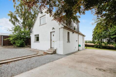 The Property