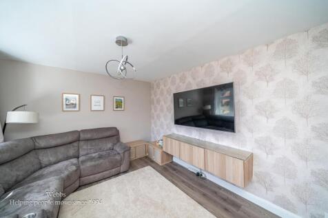 DSC00729 copy edit copy 2.jpg