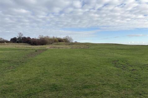 New Copse - Garden View 1