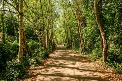 Woodland