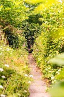Walled Gardens