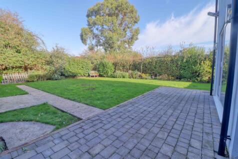 garden 2.jpg