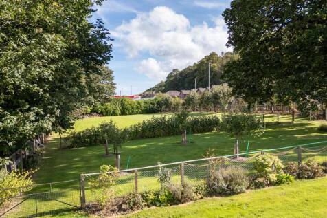 thornwood_plots-19.jpg