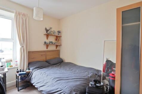 IMG_1380&#64;1x_1-1 (Medium).jpg