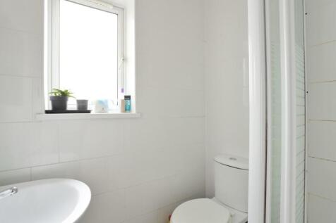 IMG_3217 (Medium).jpg