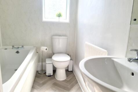 20230419_150654 (Medium).jpg