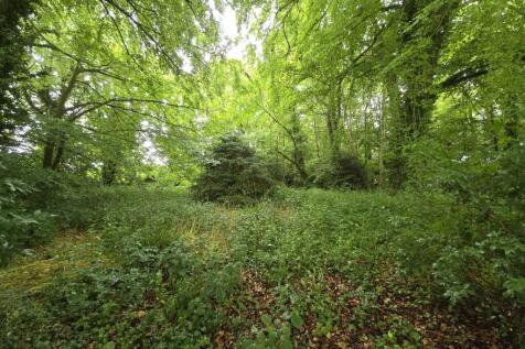 Property Image 21
