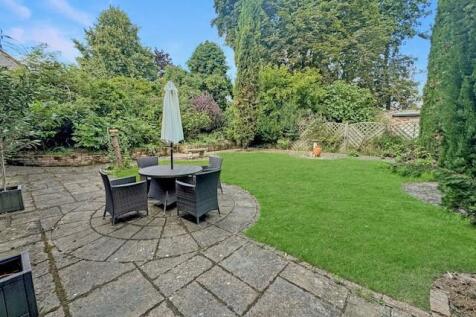 garden 5.jpg