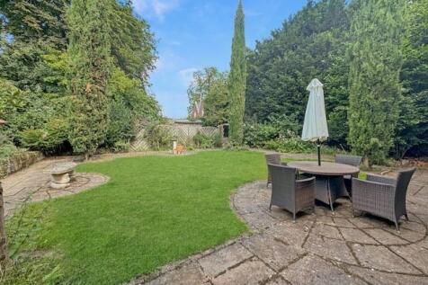 garden 7.jpg