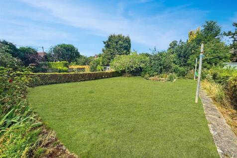 garden 2.jpg