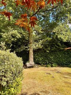 Photo 49