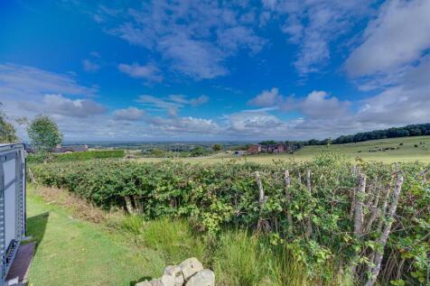 DSC_9541-DSC_9545.jpg