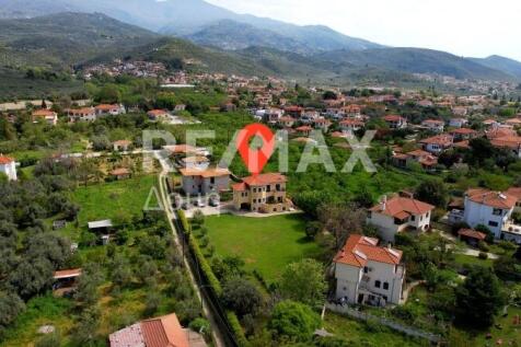 Property Image 81