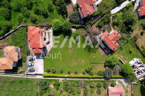 Property Image 86