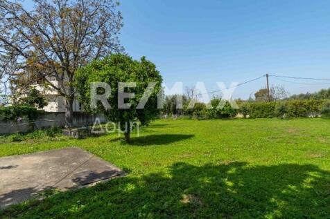 Property Image 95