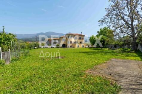 Property Image 96