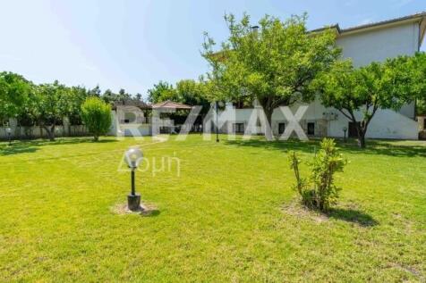 Property Image 65