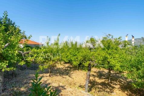 Property Image 58