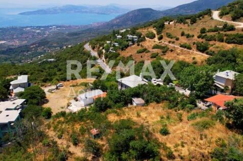 Property Image 69