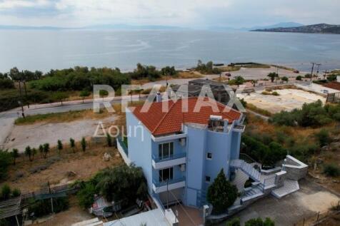 Property Image 66