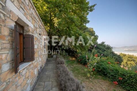 Property Image 41
