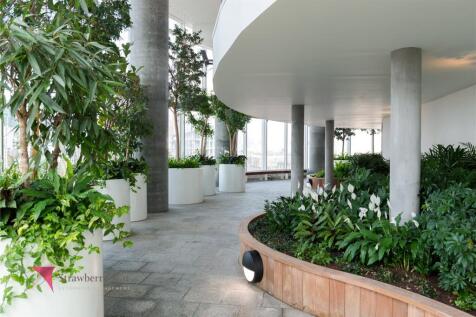 Tropical Garden