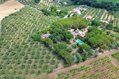 Property Image 51