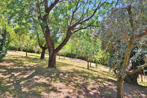 Property Image 47