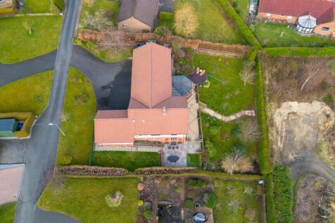 DJI_0406.jpg