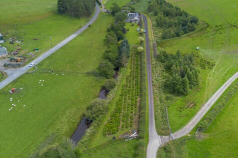 DJI_0919.jpg