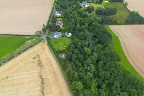 DJI_0031.jpg