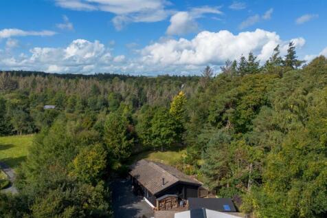 DJI_0081.jpg