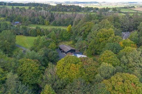 DJI_0116.jpg