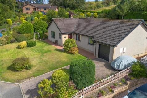 DJI_0216.jpg