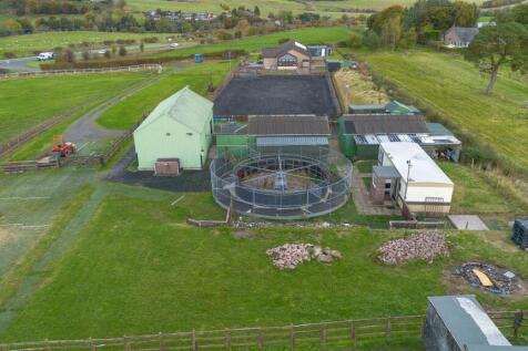 DJI_0306.jpg