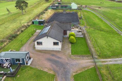 DJI_0338.jpg