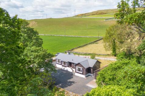 DJI_0786.jpg