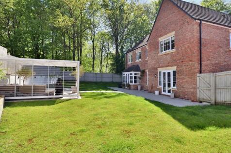 Rear Garden II