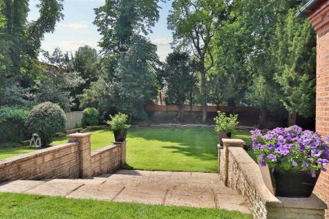 Rear Garden III