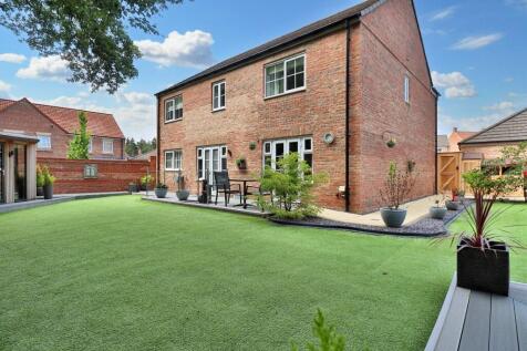 Rear Garden IV