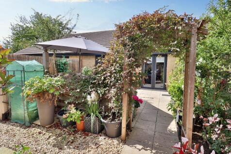Rear Garden II